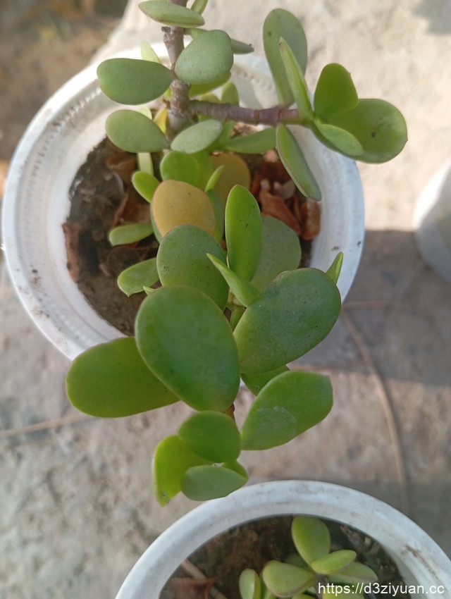 1771925057-6f96b8c7db0f34d