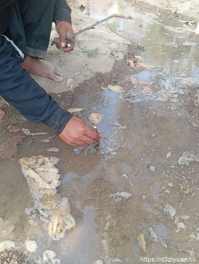 1771925070-38f84e86b4255a3