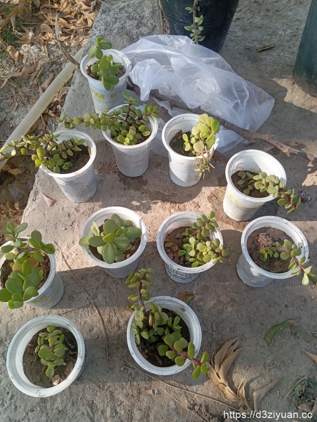 1771925096-ad76cee64c4ecd9