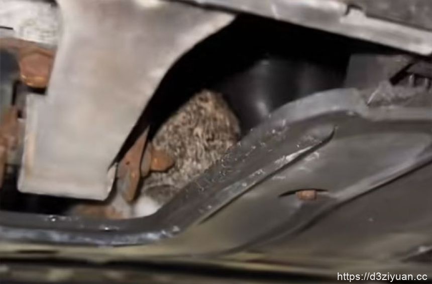 1772606953-5569d6a77276c38