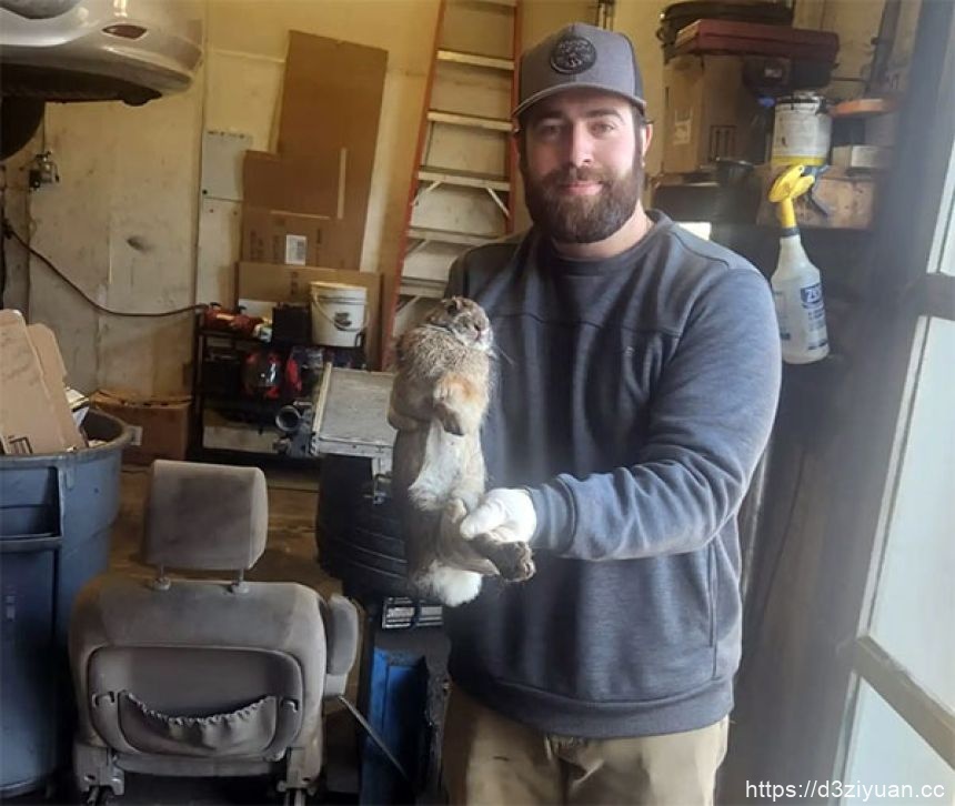 1772606954-34ffb55da2652f2