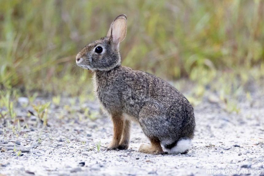 1772606954-8294c765c9777b3