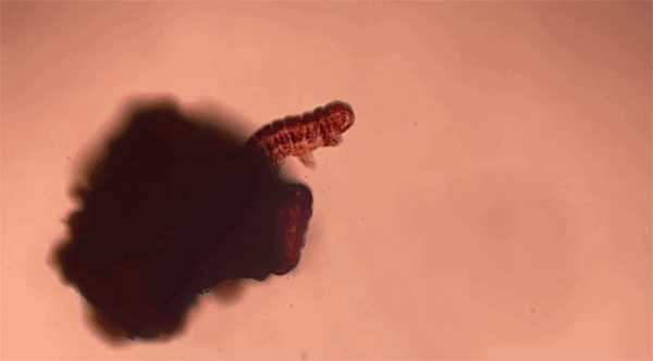 1772607280-ea66c06c1e1c05f