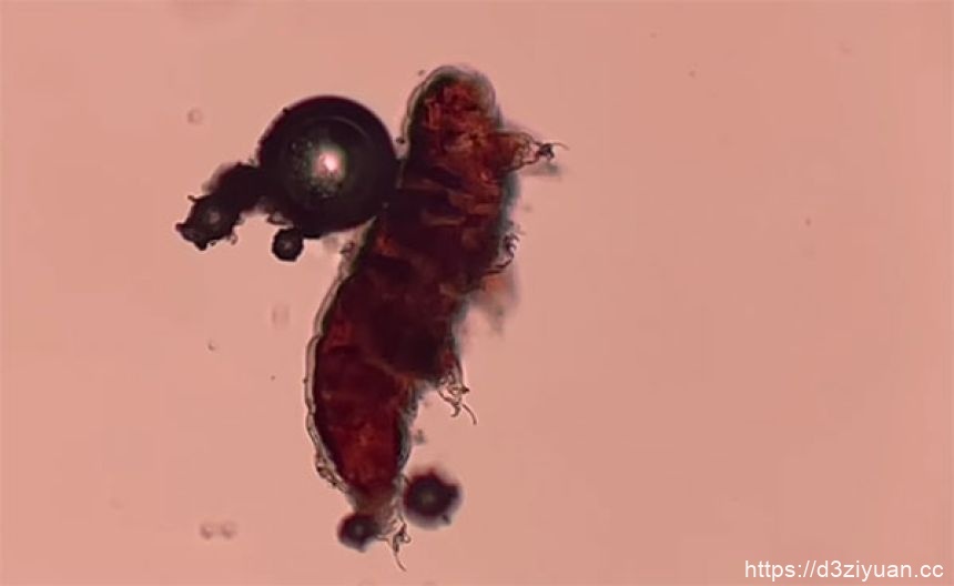 1772607281-6d72ba750226637