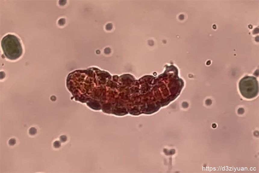 1772607281-f1c3a7500b919d5