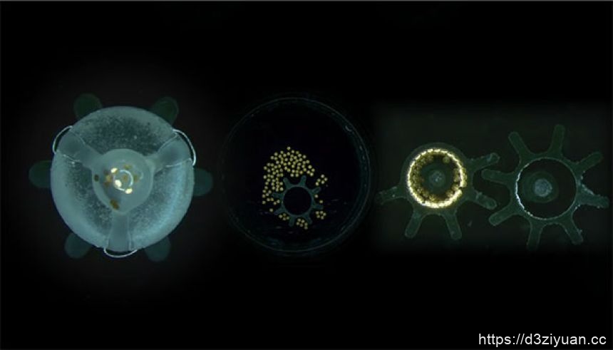 1772607586-8f14e45fceea167 1772607586-8f14e45fceea167